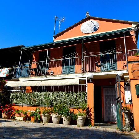 شقة La Casa Rosa! ليفانتو المظهر الخارجي الصورة